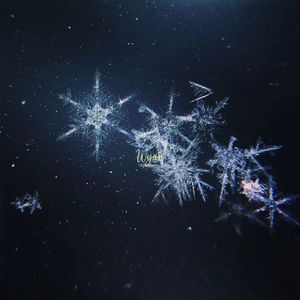 激情视频二三四五六七八九+区
